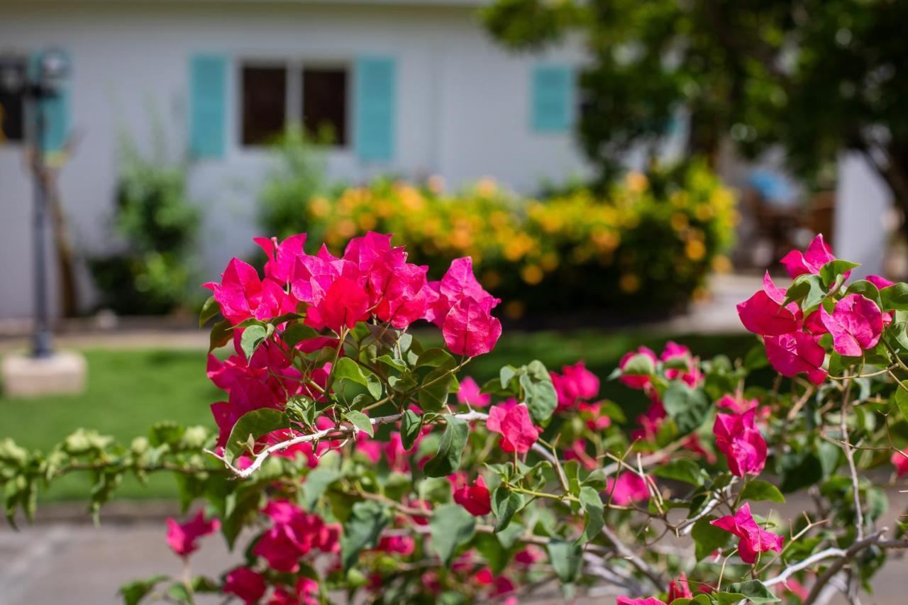 Tuk Tropical Boutique Resort Jan Thiel Willemstad Bagian luar foto