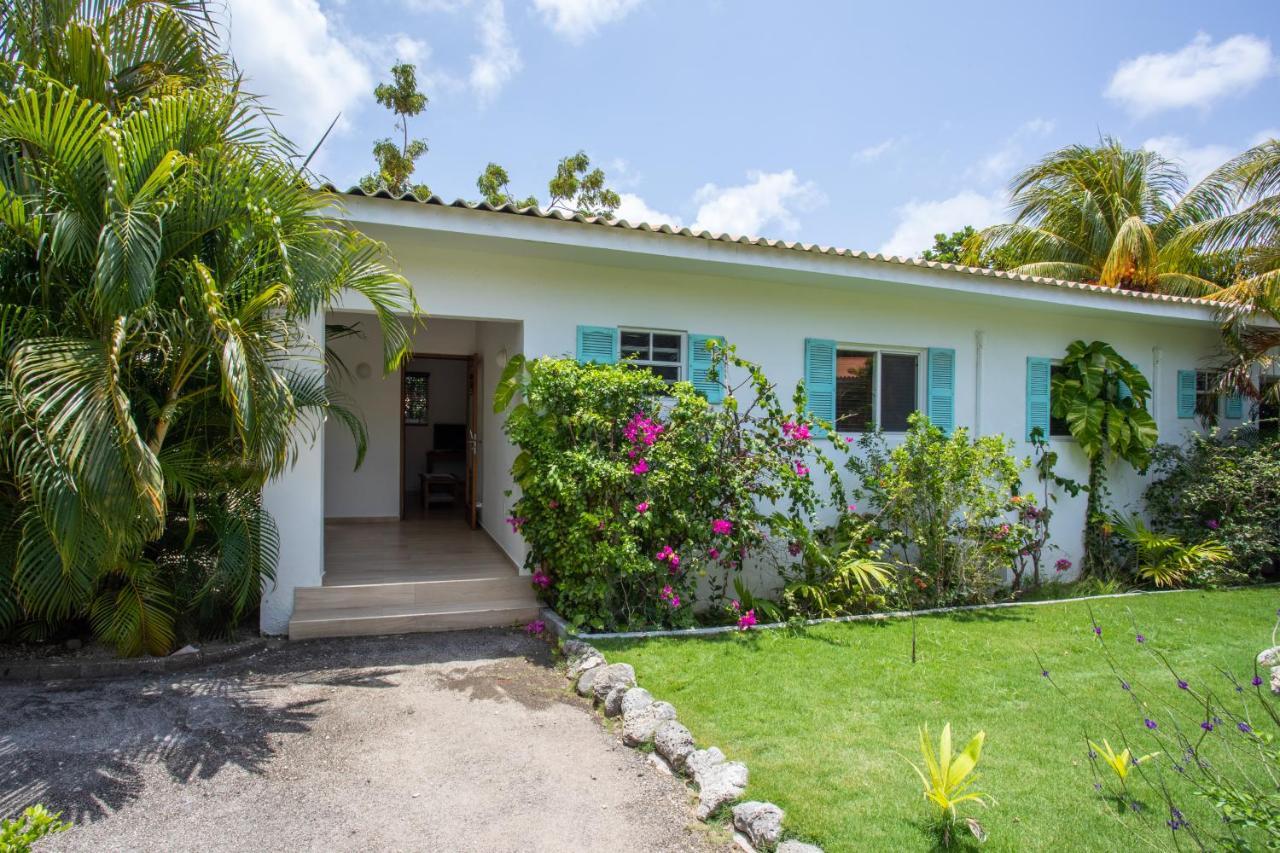 Tuk Tropical Boutique Resort Jan Thiel Willemstad Bagian luar foto